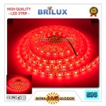 LED Strip Brilux SMD 5050 Mata Besar | IP 65 - Outdoor - Red / Merah